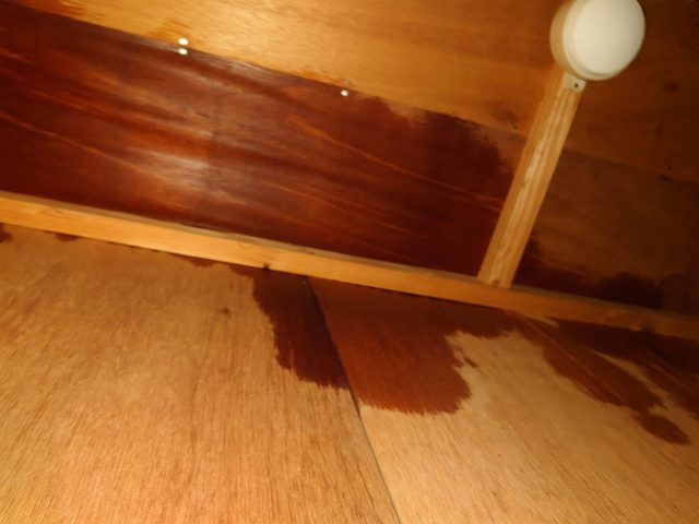 あなたの風邪はどこから？「私はヒザから」雨漏り編