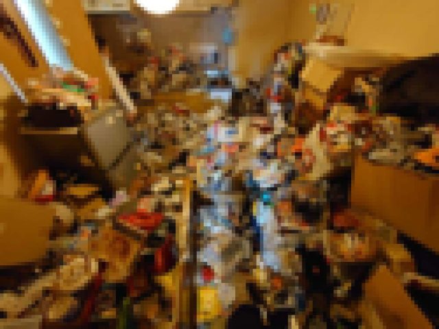 ＶＳゴミ屋敷　番外編　経験談からの考察　ゴミ屋敷のメカニズムと傾向