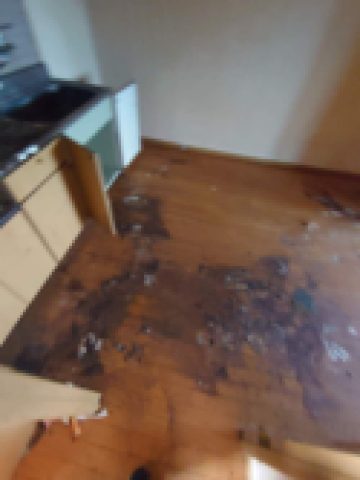 【閲覧注意】ＶＳゴミ屋敷②　問題解決とリフォーム編